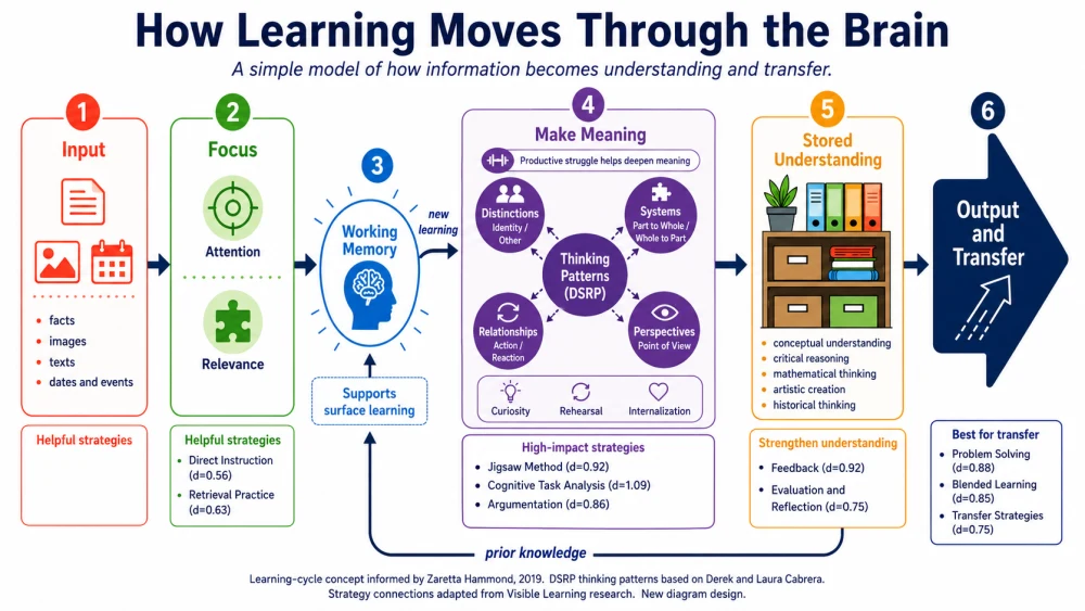 How Learning Moves Through the Brain. A visual model of input, attention, working memory, meaning-making, stored understanding, and transfer.
