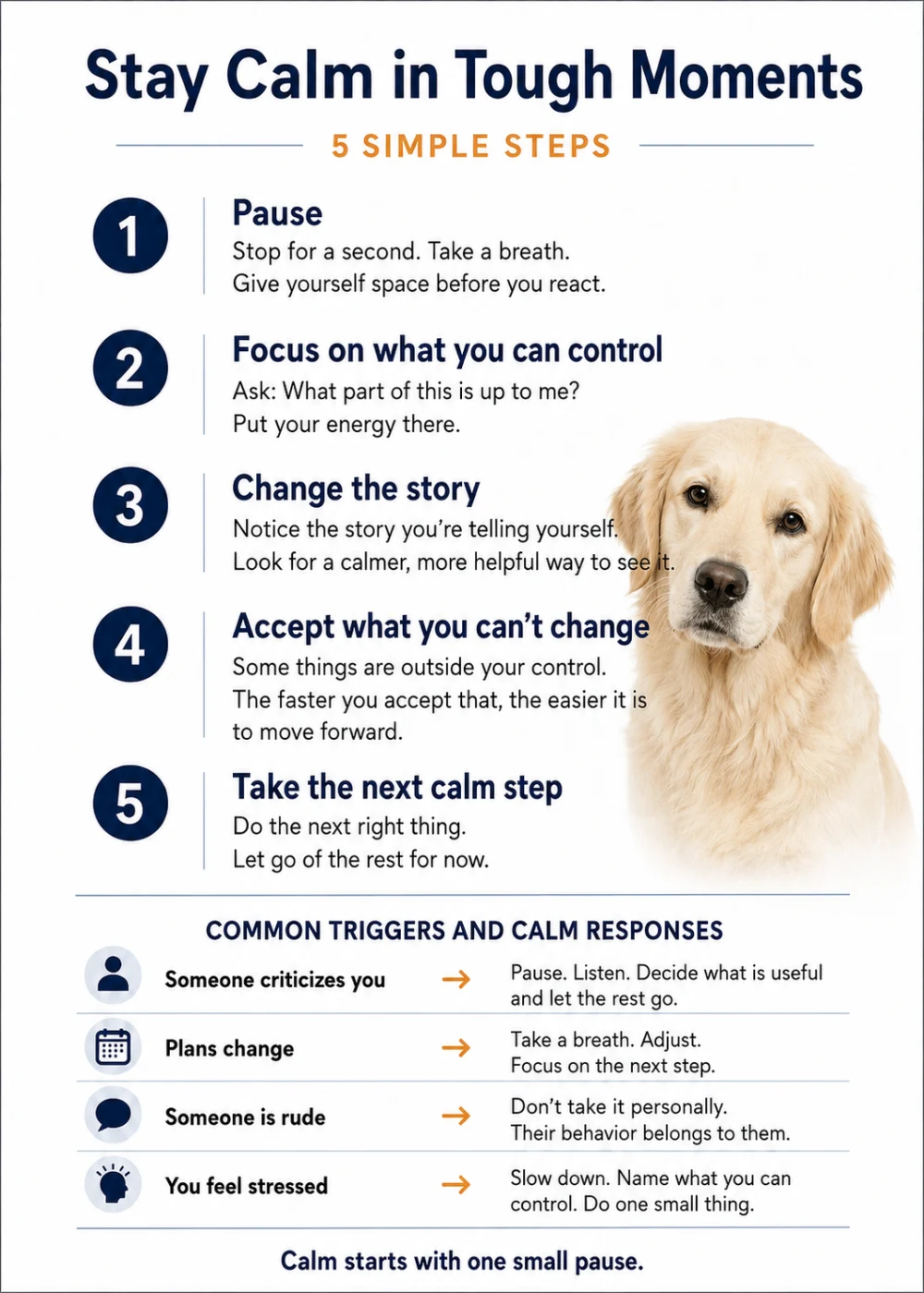 Stay Calm in Tough Moments. Five steps for pausing, focusing on what you can control, reframing, accepting limits, and taking the next calm step.