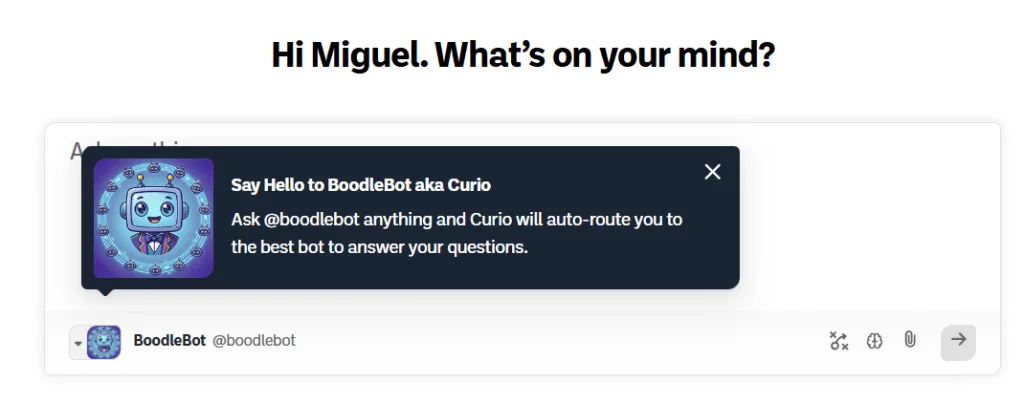 BoodleBox Curio
