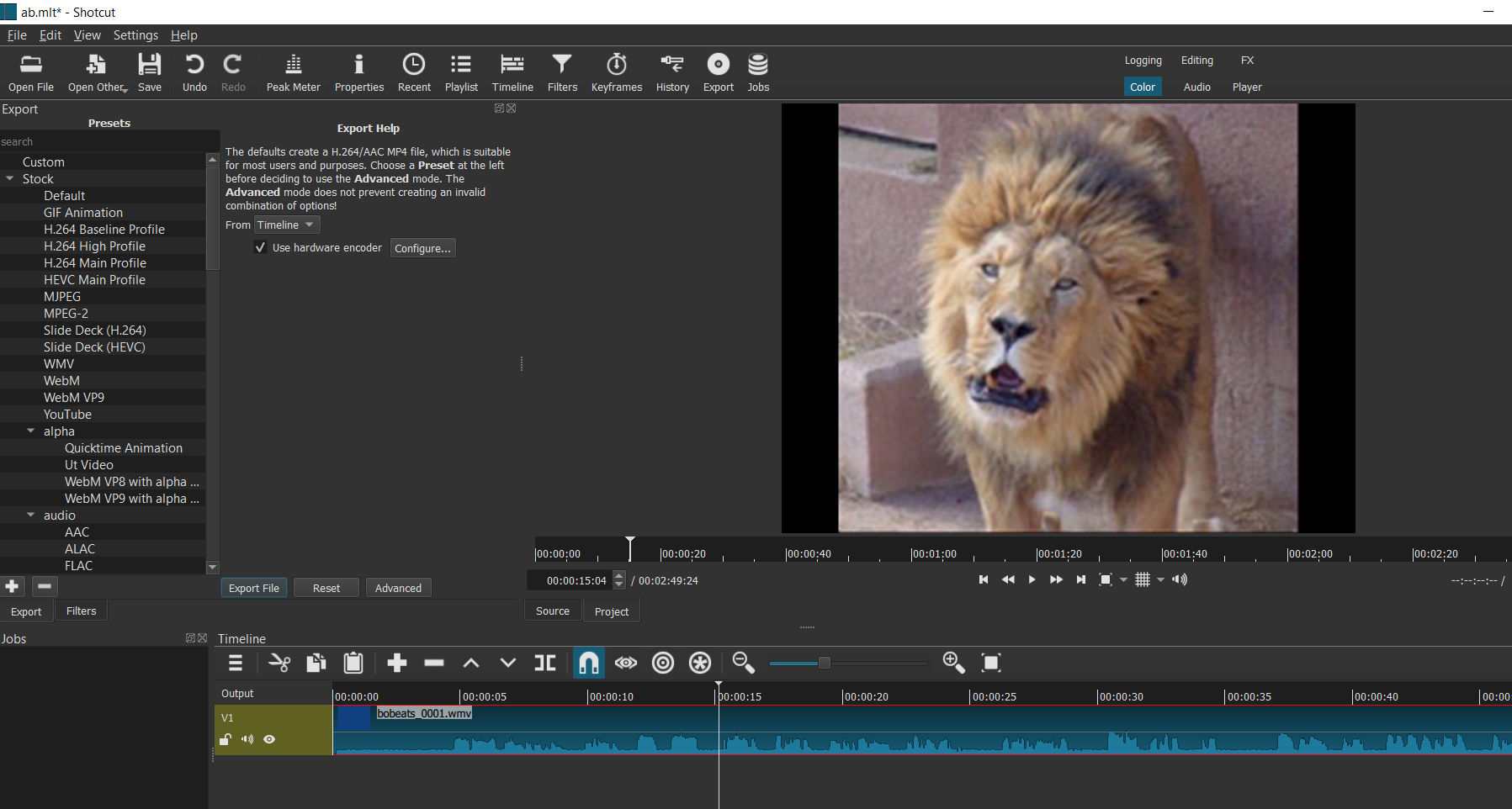 video converters
